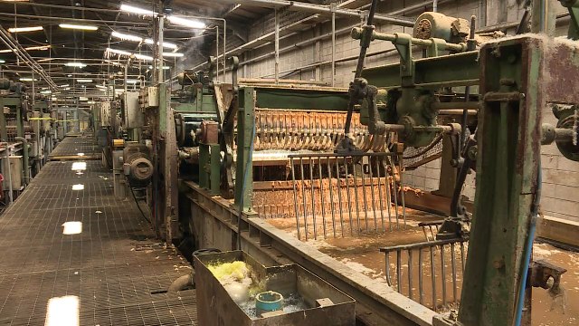 De las ovejas a coches de lujo, Uruguay pone a viajar su lana