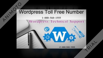 Wordpress Toll Free Number|Support Phone Number
