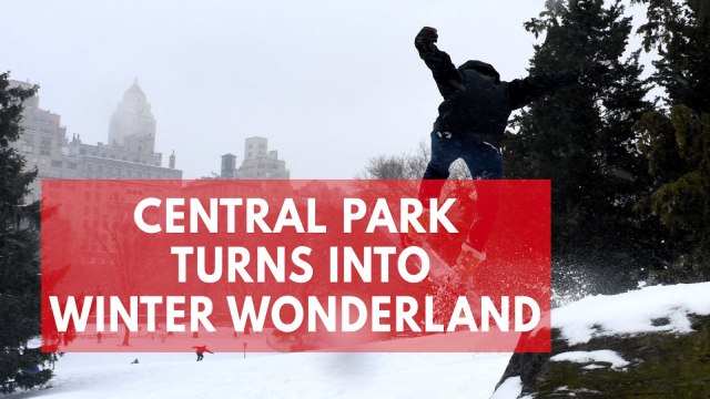 Snowstorm creates winter wonderland in Central Park