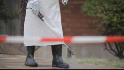 Zambia: Army operation to stamp out cholera outbreak