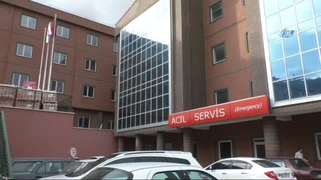 Tokat'ta Ölümlerde Domuz Gribi Şüphesi