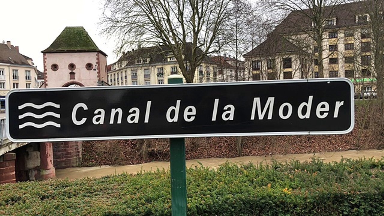 La Moder et le Rhin en crue dans le secteur de Haguenau