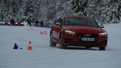 Ski athletes at Audi driving experience Demonstration