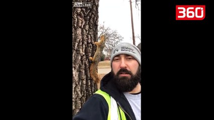 Bën aq ftohtë sa po ngrijnë dhe kafshët, habiten banorët (360video)