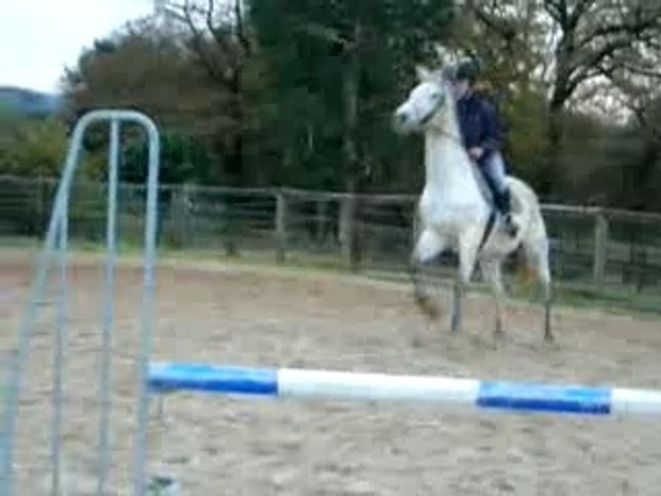 Galop à faux puis changement de pied