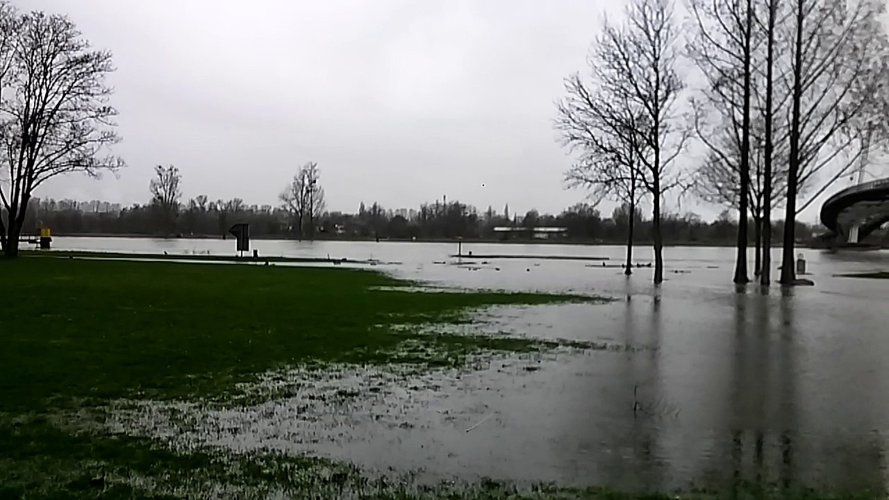 Le Rhin en crue à Kehl