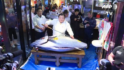 Más de USD 300.000 por un atún en mercado de pescado de Tokio