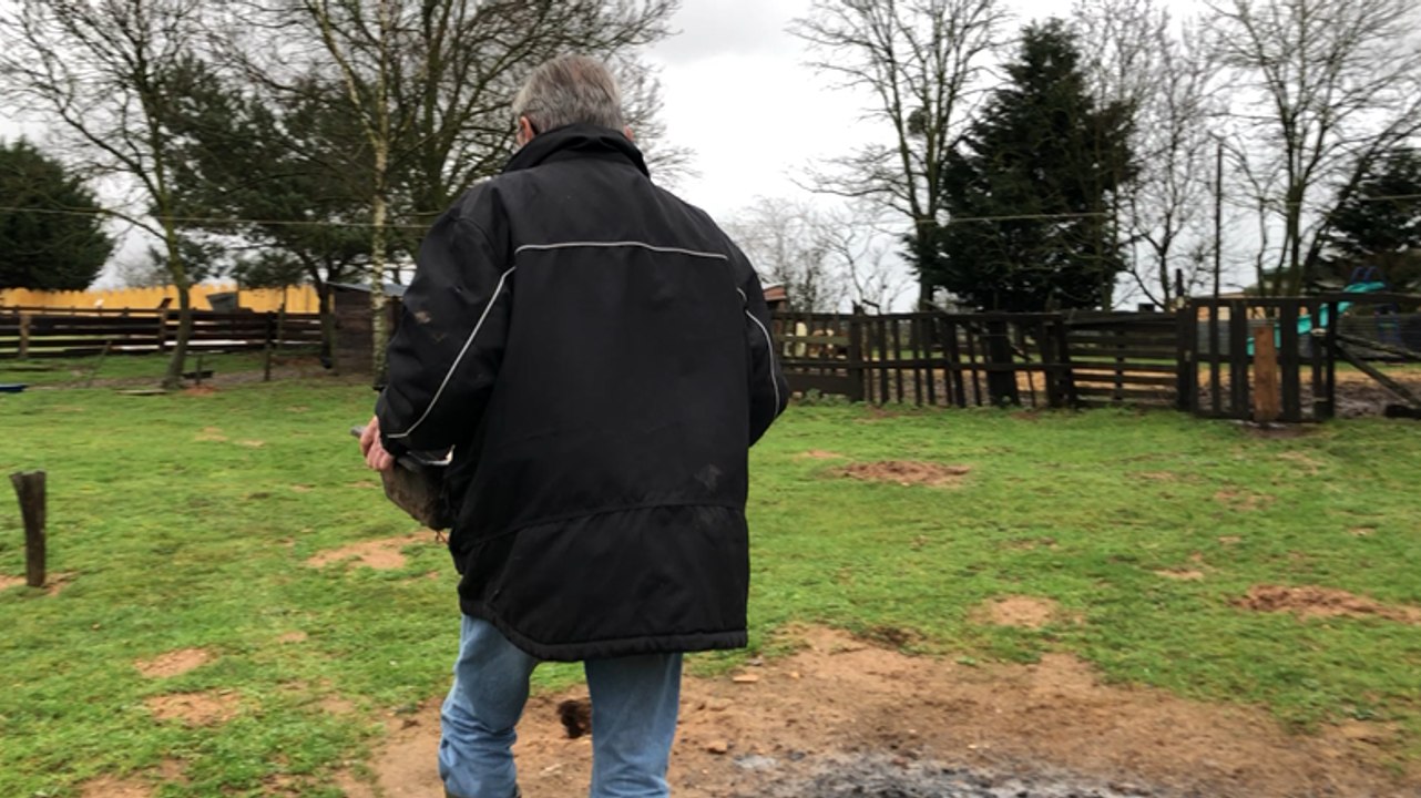 Les Crins verts recueillent des animaux