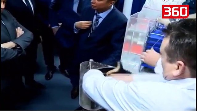 Pamje shokuese/ Eksperimenti më I fundit tregon qenin që arrin të marrë frymë nën ujë (360video)