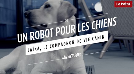 Laïka : un robot pour les chiens