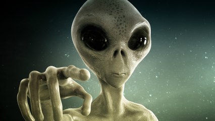 Alien Insurance? 5 Weird Things You Can Insure