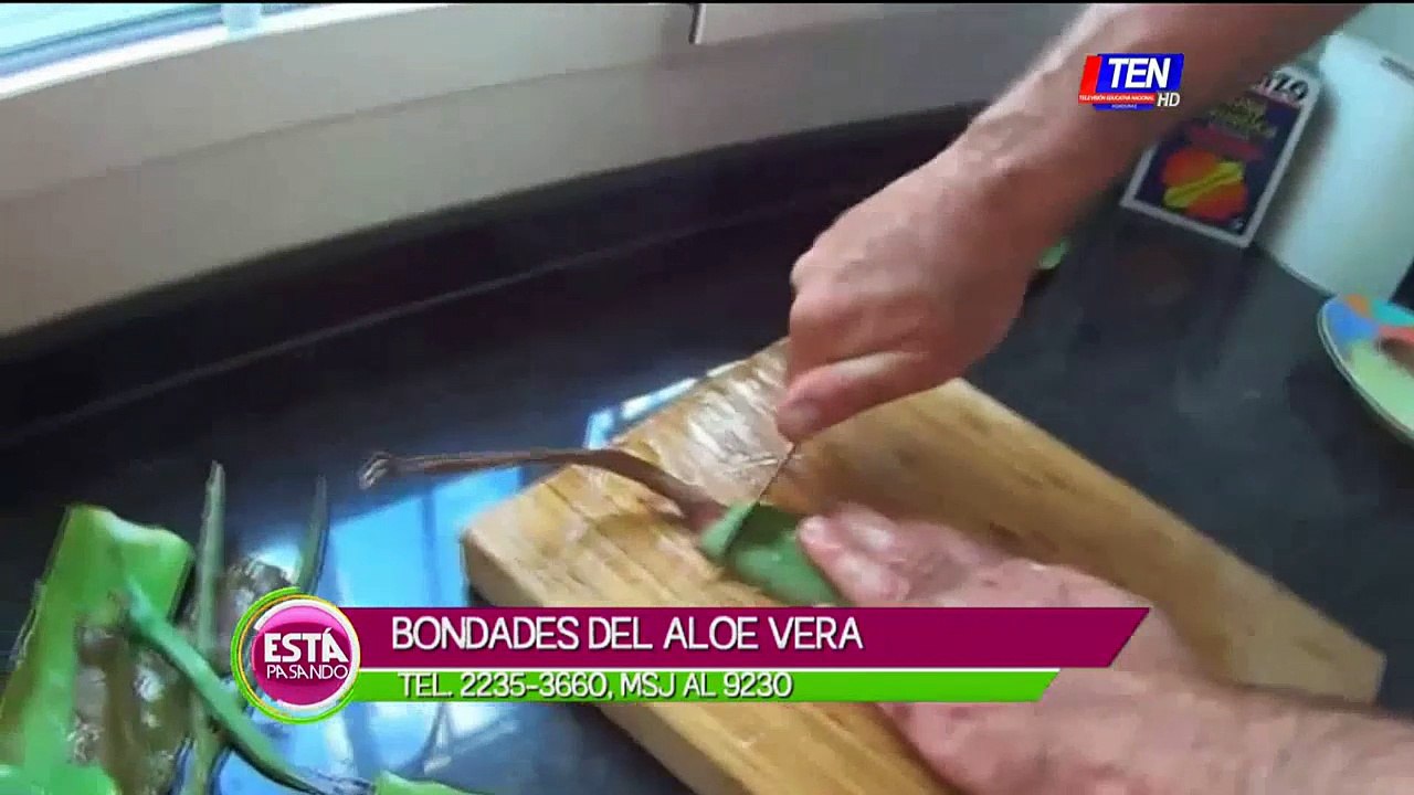 Beneficios de la Aloe Vera
