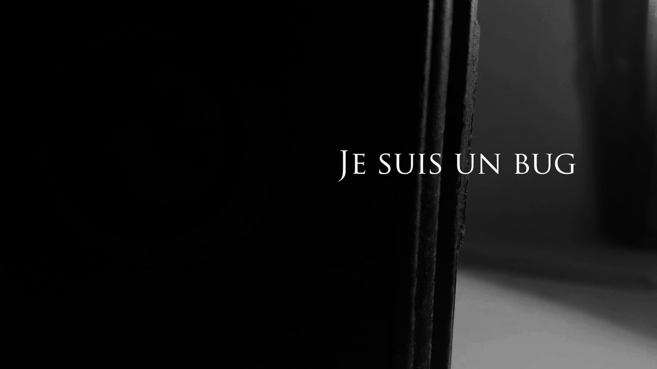 Je suis un bug