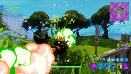 Tense Battle Royale 1v1 Victory - Broken bush is broken