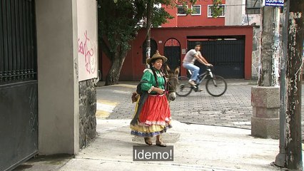 DIVLJAKUSA - 162.KRAJ SERIJE