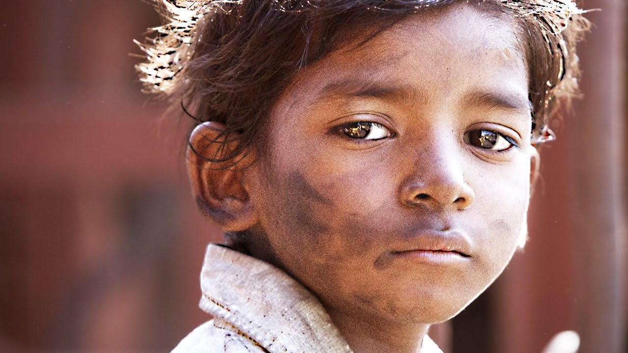 LION Bande Annonce