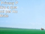 Pellicola protettiva Celicious Privacy Plus con filtro a quattro funzioni per Huawei Mate