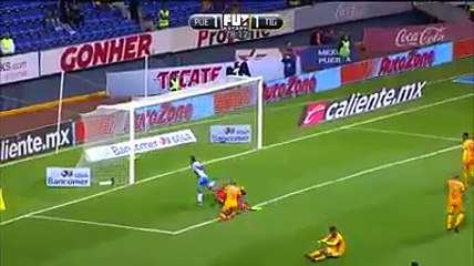 Javier Acuna Goal ~ Puebla vs Tigres 2-1