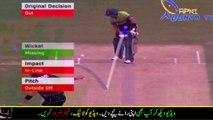 Pakistan VS New Zealand Baber Azam given Out By Umpire, New Zealand Cricketers Cant Stop Laughing