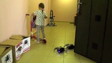Funny kid Spiders Attack Girl Bad Kid Baby Crying J
