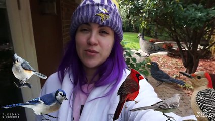 Yesterdays | Vol. 44 --  It's Cold.