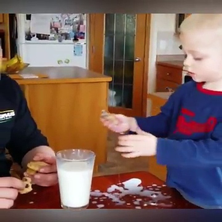 funny kids video collection