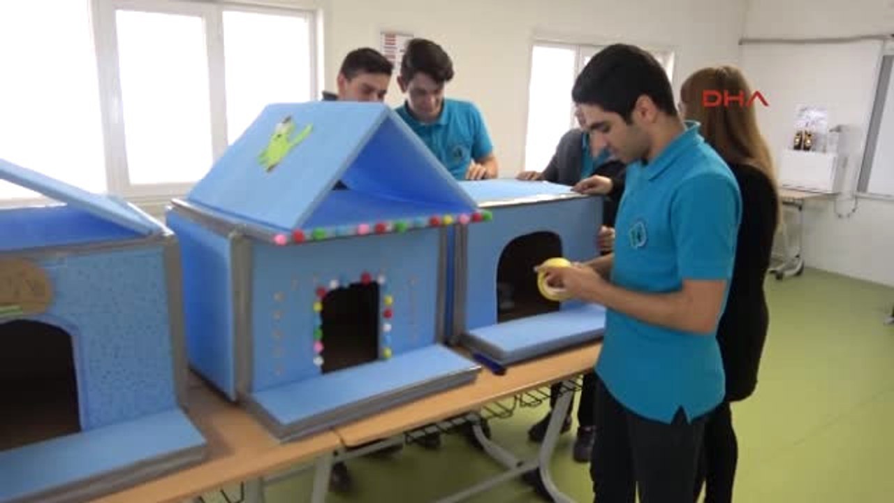 Düzce Lise Öğrencileri Sokak Hayvanları İçin Kulübe Üretti