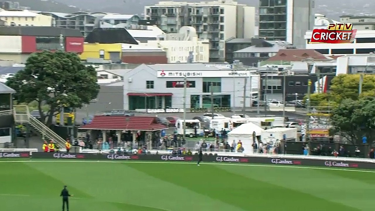 Fakhar Zaman Brilliant Performance 1st Odi Vs New Zealand