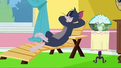 Tom and Jerry cartoon full episodes in hindi hd 2017 new