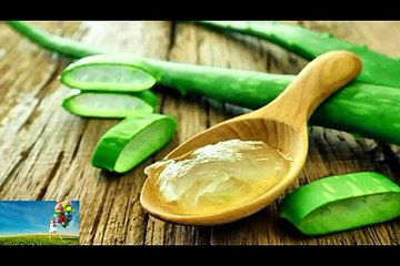 herbal pure Aloe vera Gel