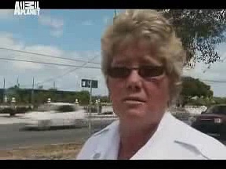 Animal Cops Miami Animal Menagerie