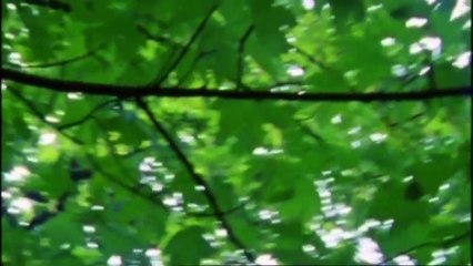 The Bigamist Bride: My Five Husbands (Documentary) Real Stories