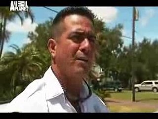Animal Cops Miami Cat Serial Killer