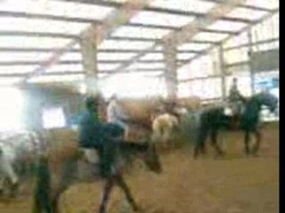 VID010
