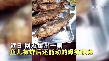 فيديو مروع لسمكة مقلية تعود للحياة بعد قليها