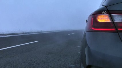 Ardahan'da yoğun sis