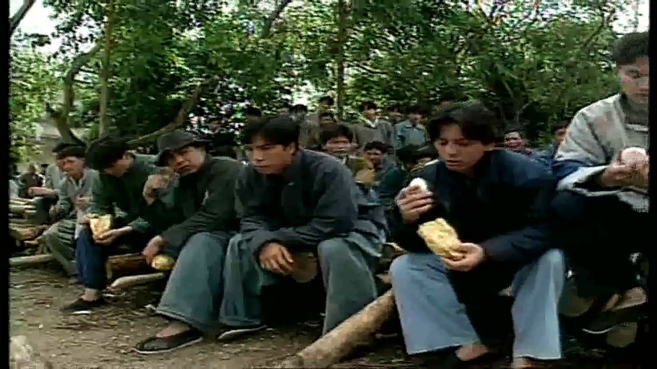 Tinh môn ngũ hổ | phim hành động võ thuật | Tập 2
