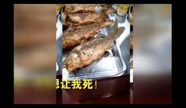 Balık sipariş etti... Hayatının şokunu yaşadı