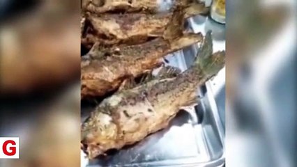Balık sipariş etti... Hayatının şokunu yaşadı