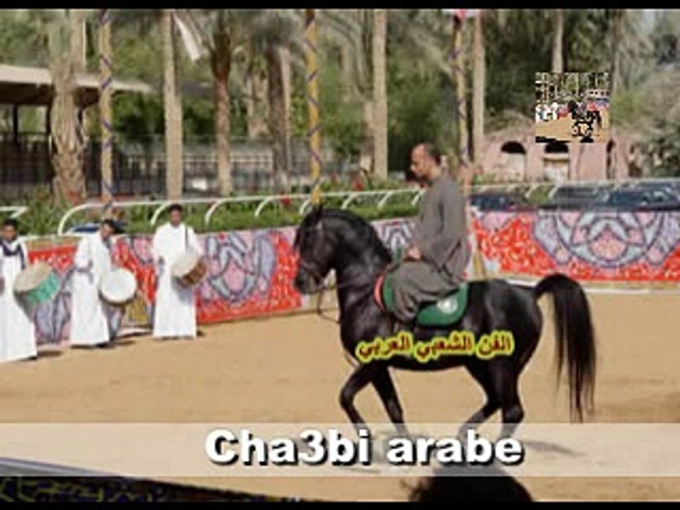 الفن الشعبي التونسي كلاني التخمام