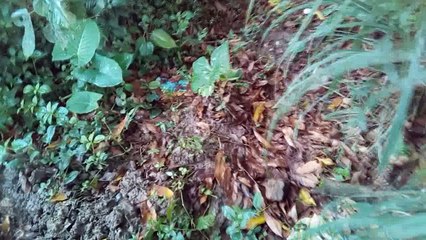 achando dinheiro + Relógio de ouro no despacho | roubaram minha bicicleta