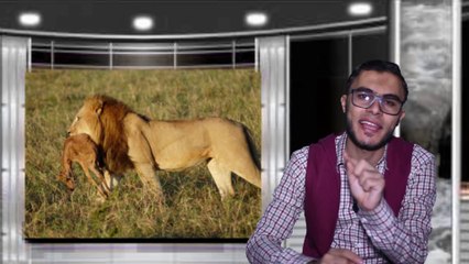 العلوم للصف الخامس الإبتدائي التيرم الأول { 10} العلاقات الغذائية بين الكائنات الحية