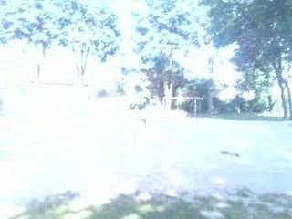 challenge téléfoot au stade vert