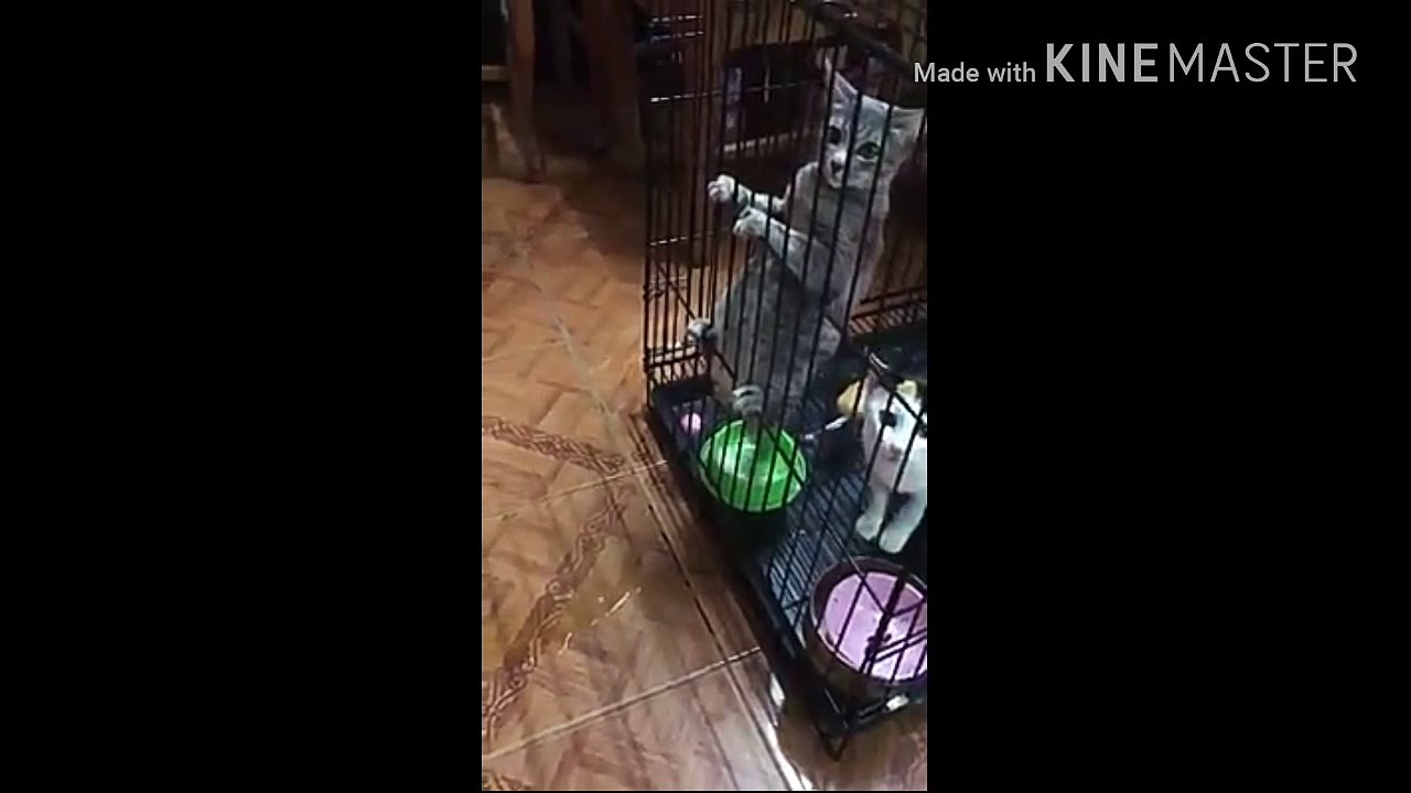 โตแล้วจะฉี่แบบไหนก็ได้ ฮ่า ฮ่า ฮ่า