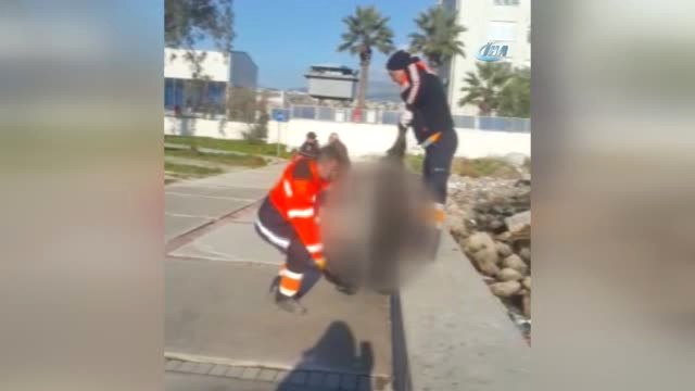 İzmir'deki Sahil Kirliliği Vatandaşı İsyan Ettirdi