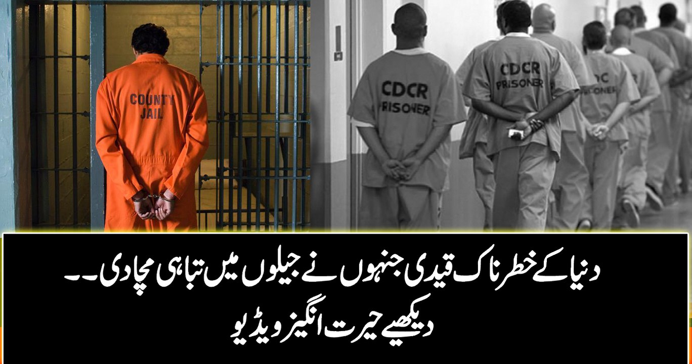 دنیا کے خطرناک قیدی جنہوں نے جیلوں میں تباہی مچا دی ۔۔ دیکھیے حیرت انگیز ویڈیو