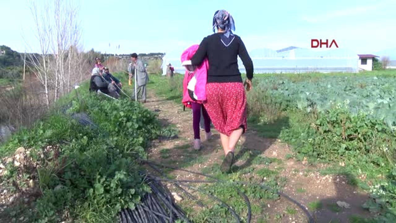 Antalya-Okul Yolunda 'Köprü' Çilesi