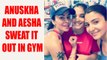 Virat Kohli and Shikhar Dhawan's wives Anushka and Aesha sweat it out in gym together |Oneindia News