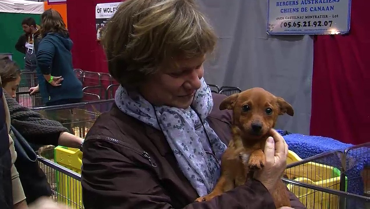 Un aperçu du salon animal Mania