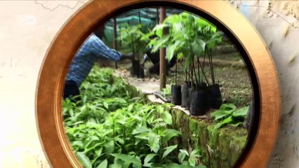 World stories for January 6, 2018 | DW English